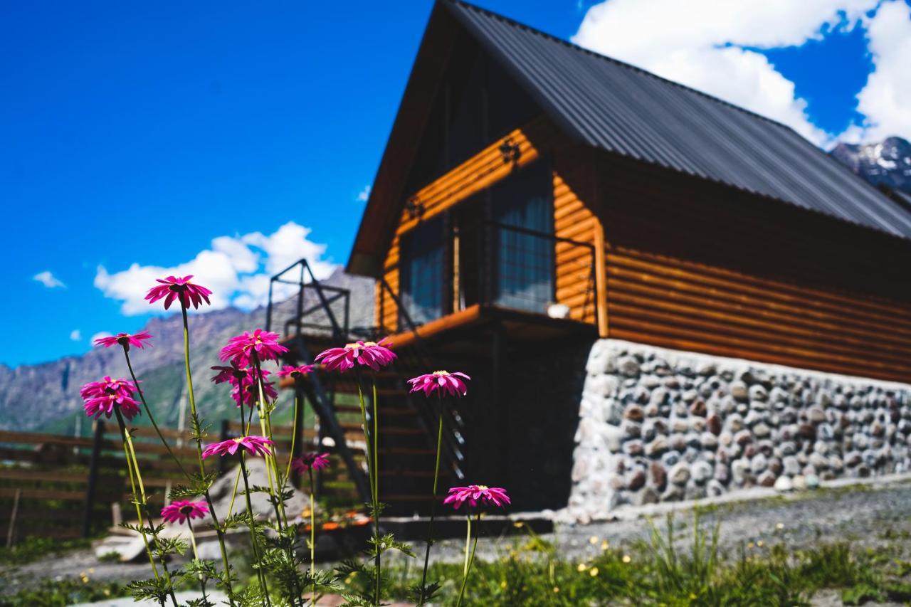 Traveler'S Cottages In Kazbegi מראה חיצוני תמונה