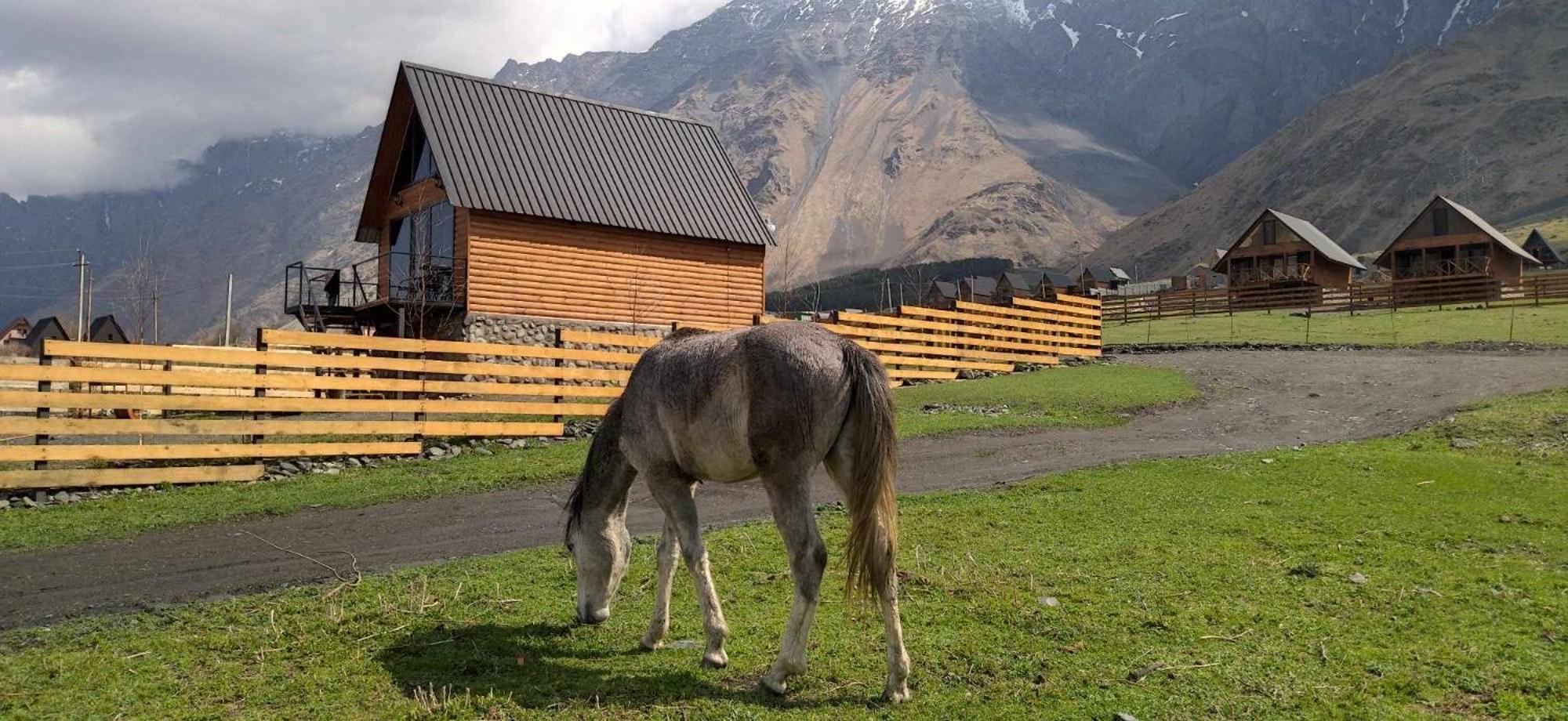 Traveler'S Cottages In Kazbegi מראה חיצוני תמונה